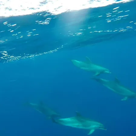 Casa Ico Lanzarote Holiday home Tias